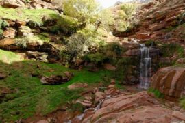 121123-Maroc-Marrakech355