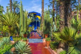 Jardin-Majorelle