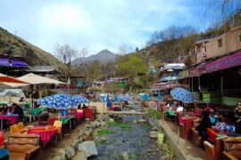 from-marrakesh-ourika-valley-atlas-mountains-day-tour-2892001