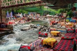 images (4)