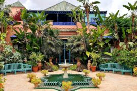 jardin-majorelle (1)