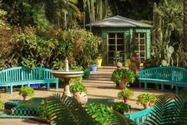 jardin-majorelle (3)