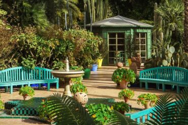 jardin-majorelle (3)