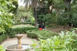 jardin-wintrebert01