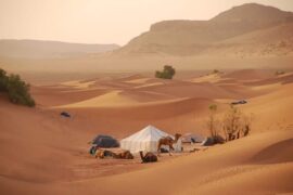 trek-sahara-sauvage-min